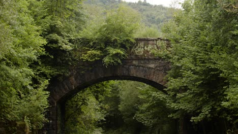 mid shot of disused railway bridge at cynonville station