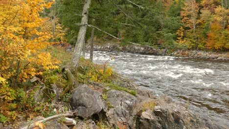 trees will grow anywhere as explicitly shown in this beautiful wild picture