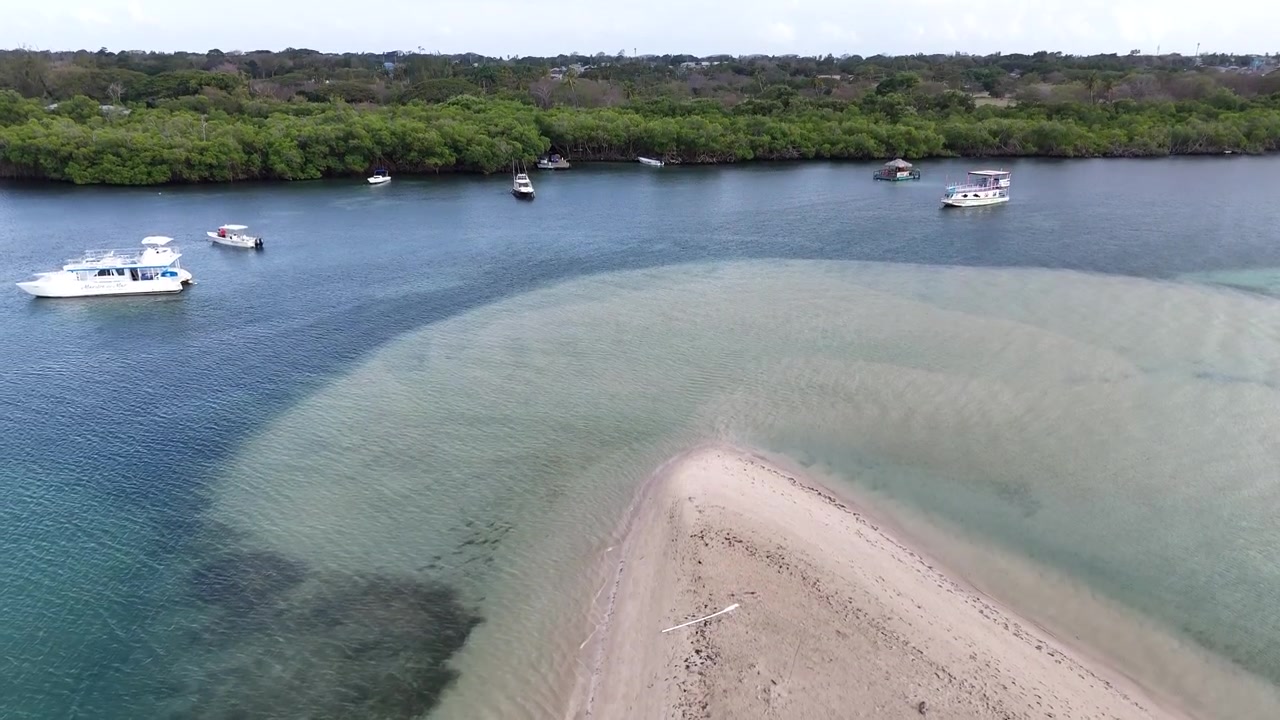 Vista aerea con drone a bassa angolazione del banco di sabbia bianco di No Man's Land a Tobago. Mare Caraibico turchese che confina con rigogliose mangrovie e spiagge tropicali appartate a Trinidad e Tobago