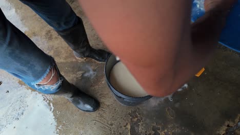 straining curds: traditional cheese making process, hands-on