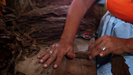 Woman-Wraping-Cigar-By-Hand-At-The-Tobacco-Factory