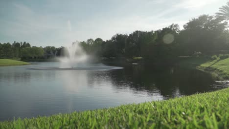 pan of fountain on lake with shoreline and palm tree on warm summer day