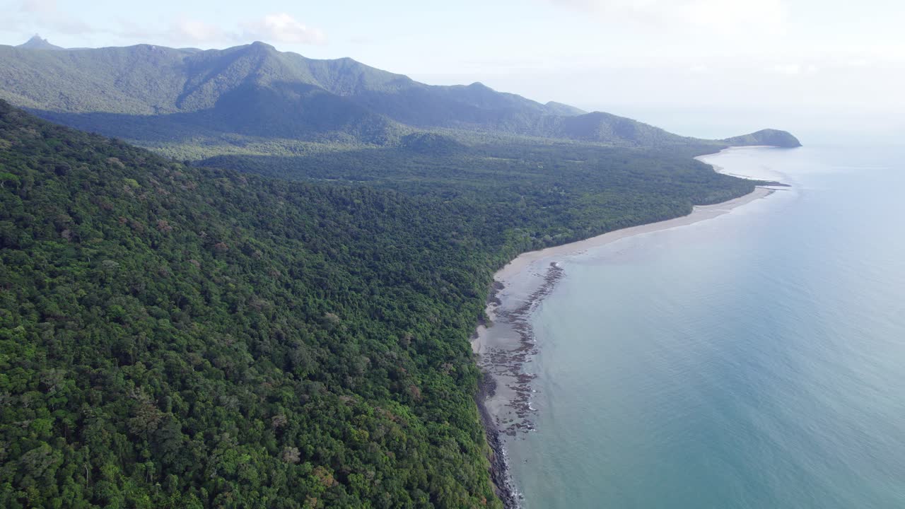 impresionante vista de la selva tropical en el parque nacional daintree en cape tribulation, qld australia
