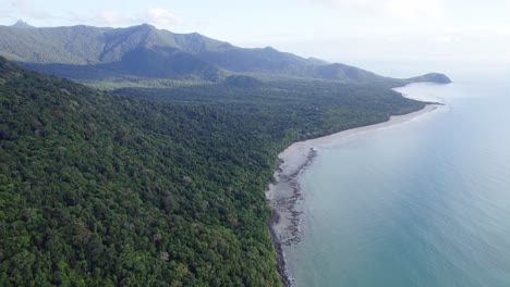 stunning view of tropical rainforest at daintree national park in cape tribulation, qld australia