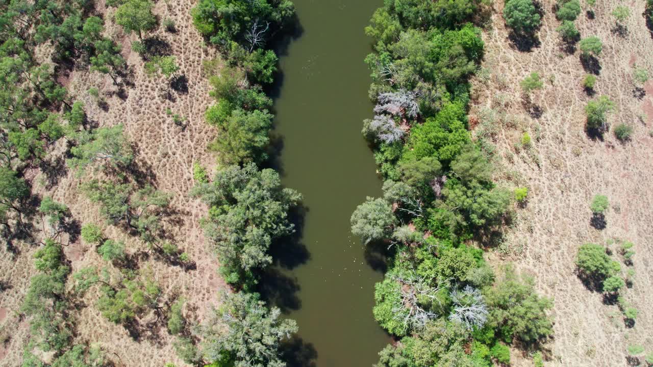 vista vertical de drones sobre el río victoria en kalkaringi, territorio del norte, australia