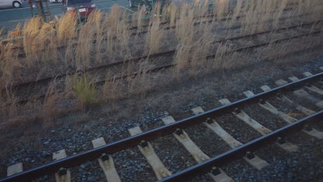 train tracks traveling along countryside in japan