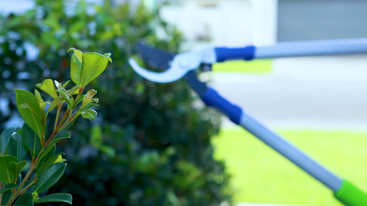 A person trims a leafy green bush using long-handled pruning shears outdoors in a residential garden, with natural daylight and steady camera framing