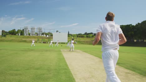 rear view of cricket player throwing a ball