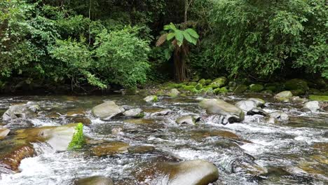 barrington tops national park river australia