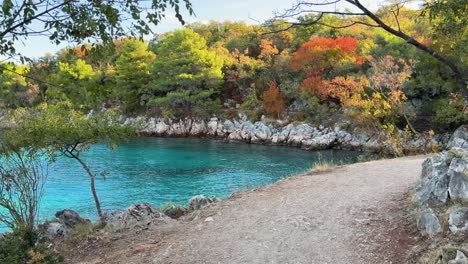 scenic hiking trail with pine trees close to the adriatic sea, between njivice and malinska, krk, croatia-1