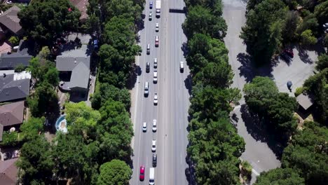 highway traffic four lanes going in opposite directions surrounded by trees and suburb houses