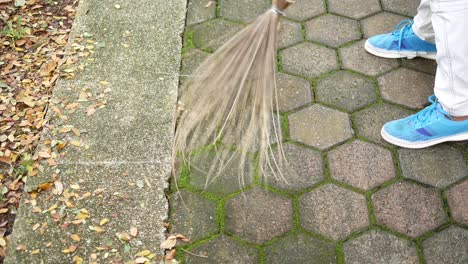 person walking on a paved path with moss and leaves