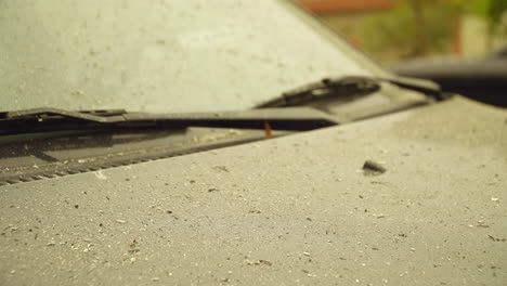 Ash-Falls-on-Car-Hood-and-Windshield,-Close-Up