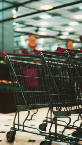 shopping carts in a supermarket