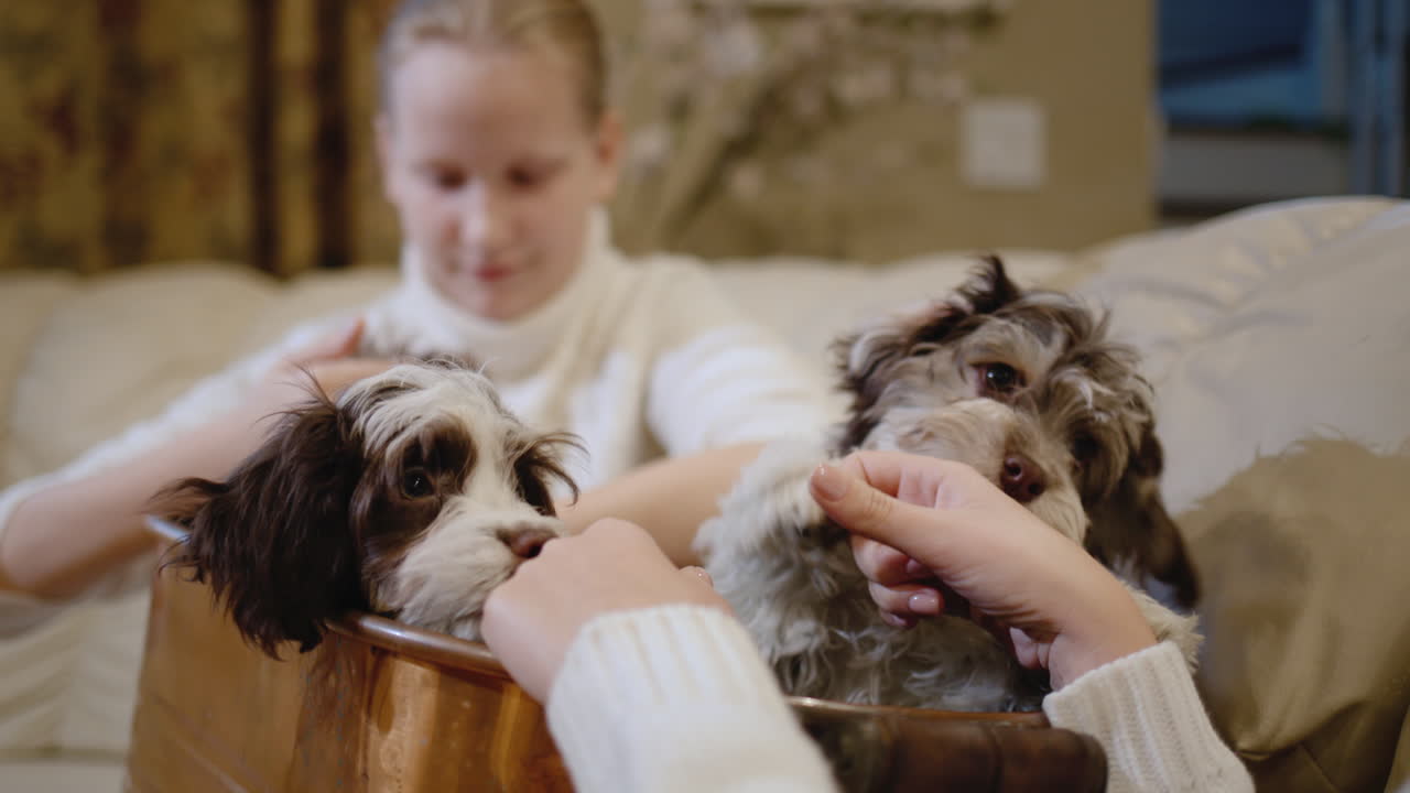 그녀의 거실에서 재미있는 작은 강아지와 함께 놀고있는 아이와 함께 한 여성
