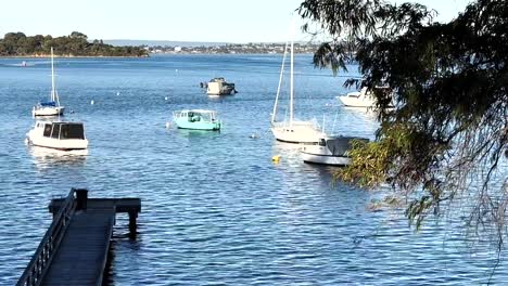 Plano-Amplio-Del-Embarcadero-Largo-Con-Barcos-En-El-Río-Swan-En-Peppermint-Grove,-Perth,-Australia-Occidental