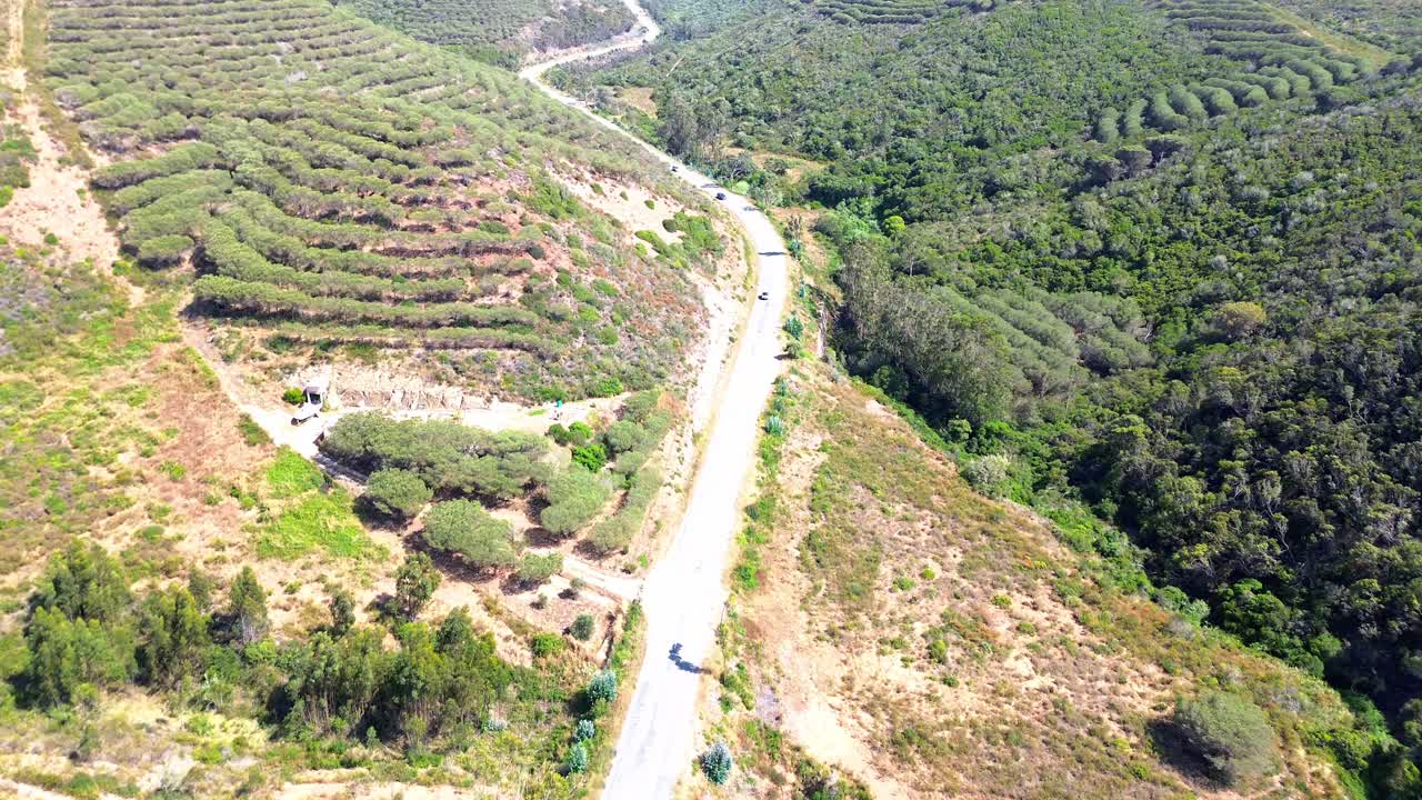 푸른 나무, 건조한 땅, 포르투갈, 4k