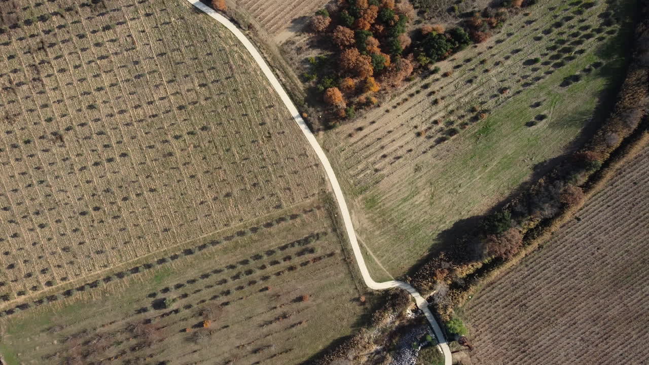 vista aérea de los campos agrícolas