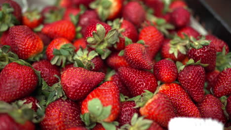 fresh strawberries