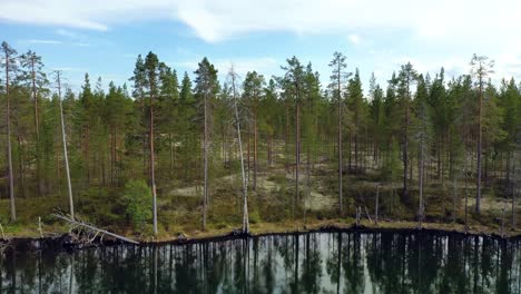 vista aérea del lago y el bosque en finlandia. hermosa naturaleza de finlandia.