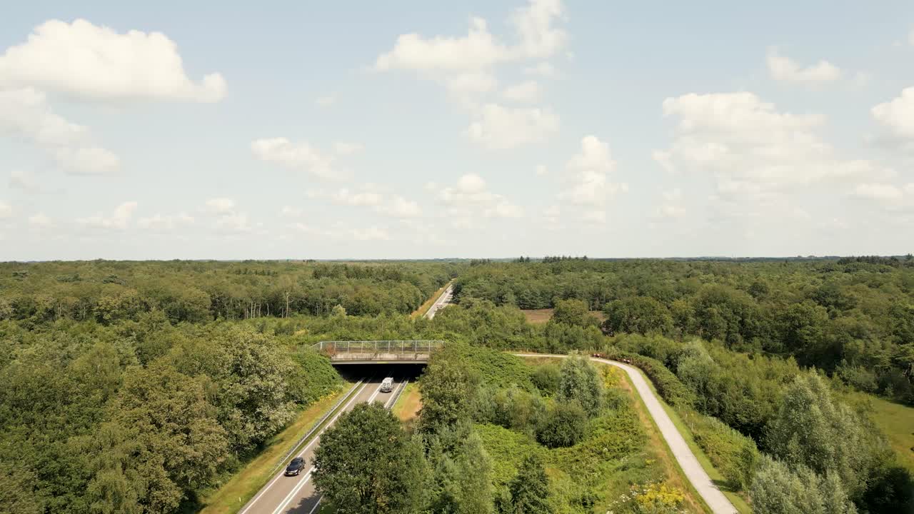 carretera a través del paisaje forestal