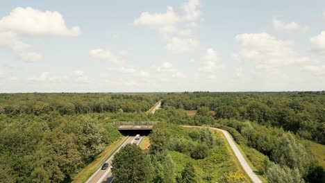 highway through forest landscape