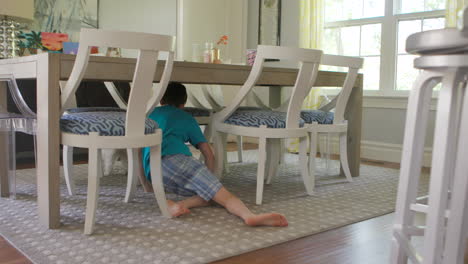 a-little-boy-chases-his-pet-dog-out-from-under-the-dining-room-table