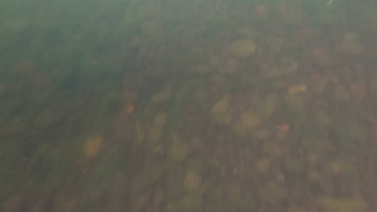 cámara lenta bajo la captura de agua de rocas cubiertas de musgo en un río oregon