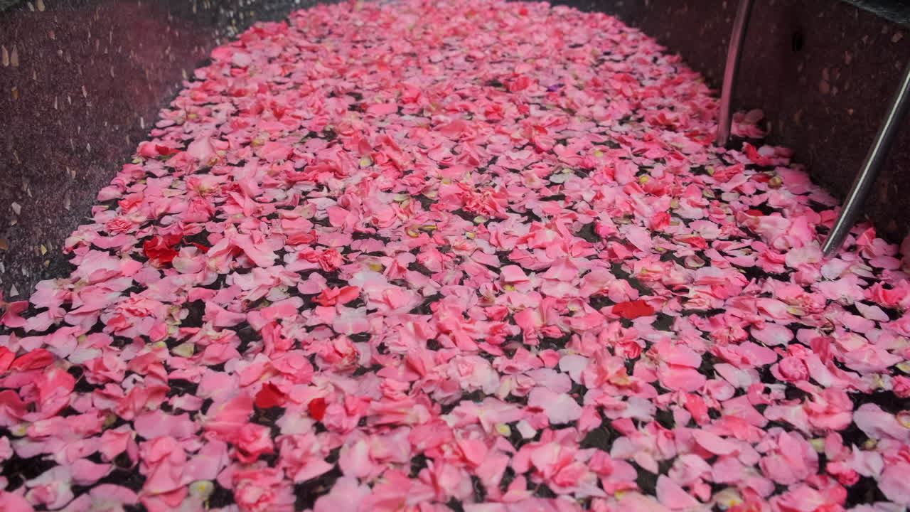 pétalos de rosa en un recipiente