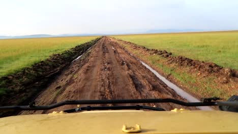 POV-of-safari-drive-through-endless-grassy-plains-over-muddy-and-bumpy-dirt-road
