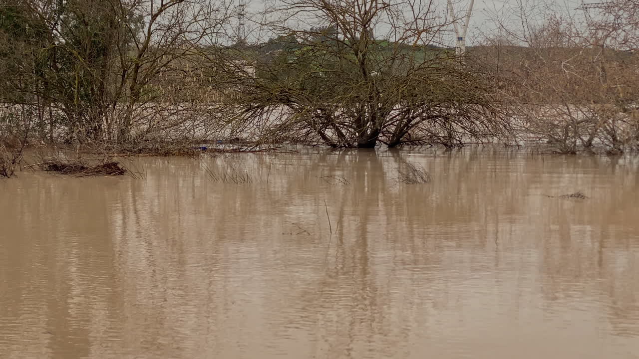Murky brown floodwaters engulfing bare trees and riverside vegetation during a winter flood event in Seville