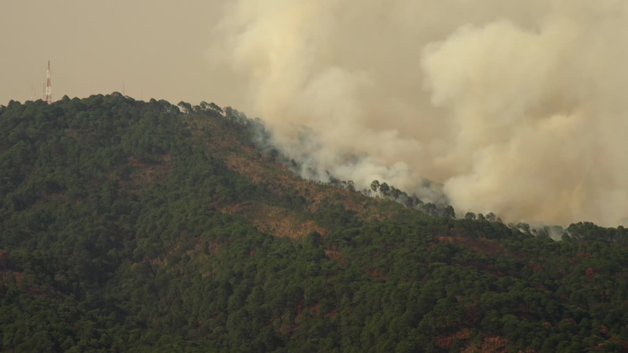 Primo piano timelapse di un incendio boschivo su una montagna.