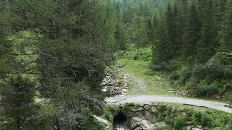 picturesque mountain stream in sölktäler region, styria, austria