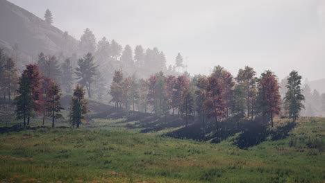 swiss alps with green alpine meadow on a hillside and surrounded by pine forests
