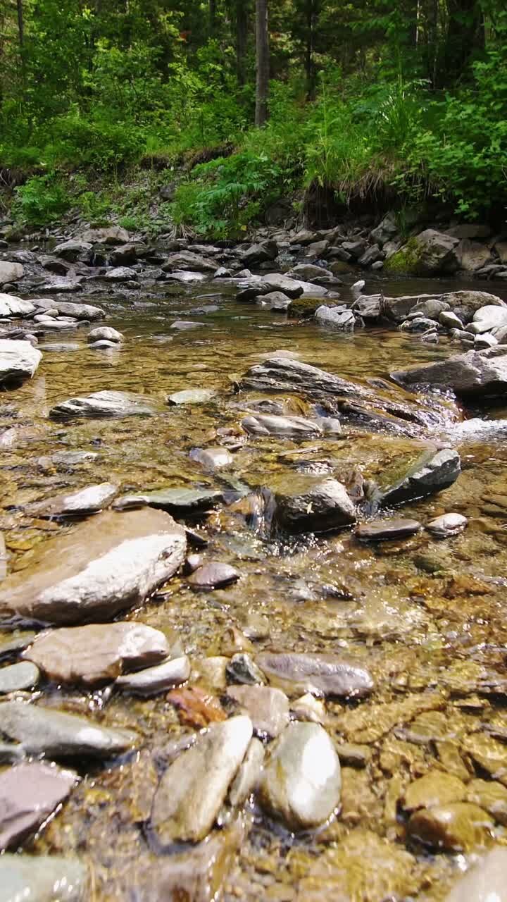Kayalıklı Berrak Dağ Deresi