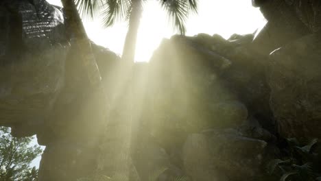 big palms in stone cave with rays of sunlight