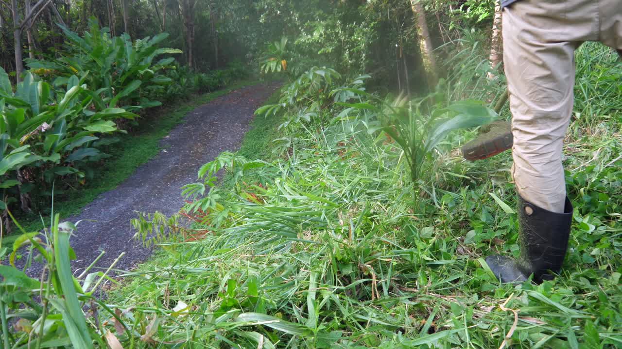 Primo piano POV di decespugliamento a livello del suolo