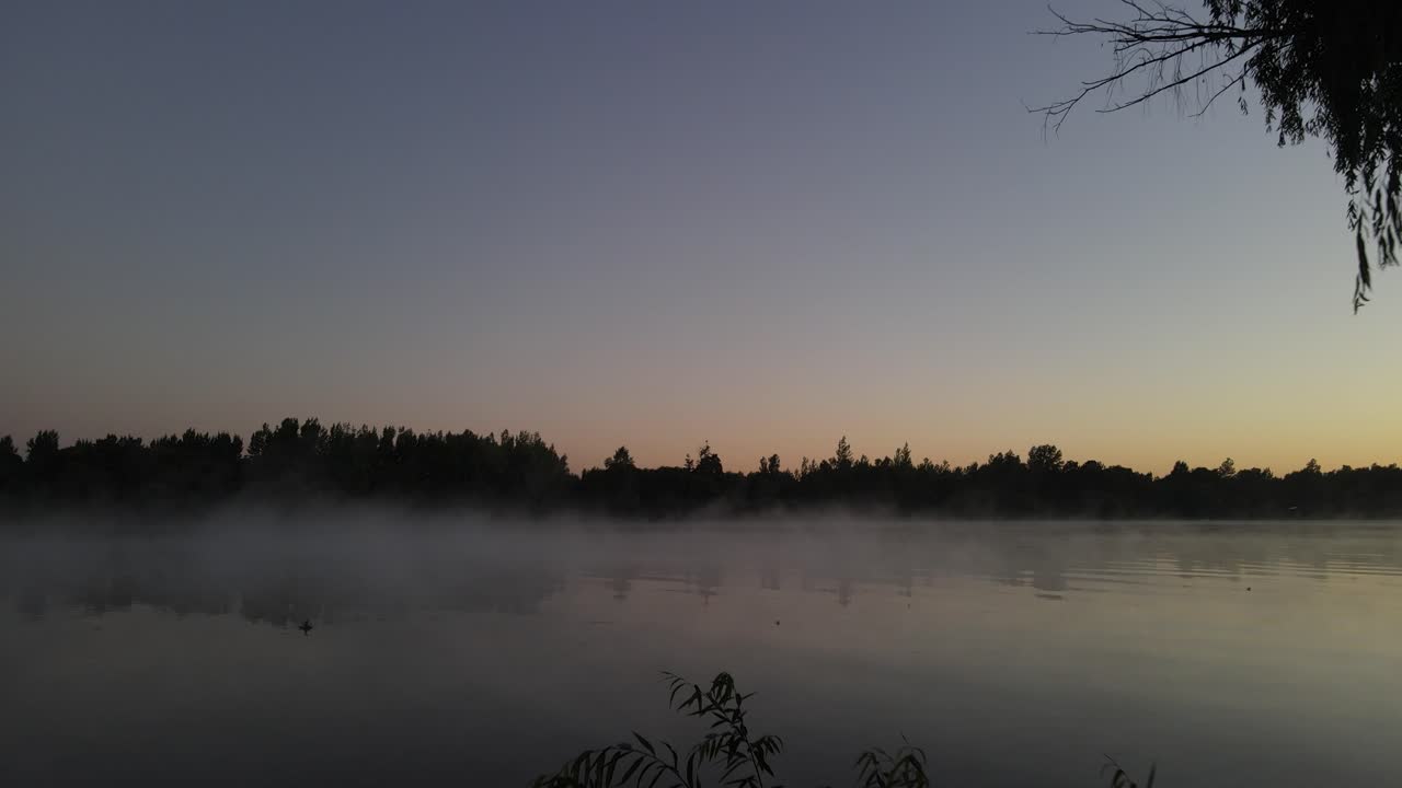 Approaching silhouette of trees on shore of foggy mystic amazon river. Cinematic shot at sunrise. 4K footage.