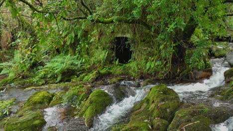 Downsteam-über-Mit-Moos-Bedeckten-Felsen-Im-Río-Parga,-Coruña,-Spanien