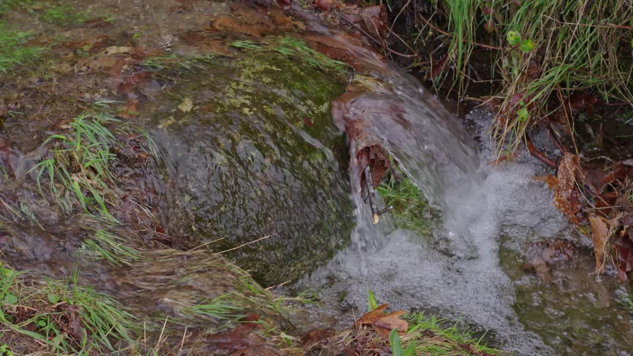 Small Stream Of Water Vividly Running Over A Rock Surrounded By Vegetation