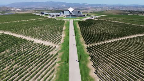 moderno almacén de bodega de vino y viñedo desde una vista aérea de avión no tripulado