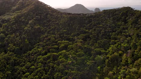 beautiful aerial opening shot of coromandel coastal walkaway