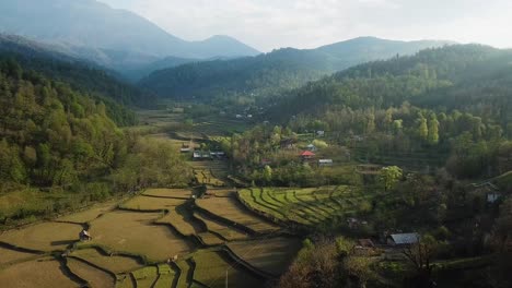 los agricultores tradicionales en la antigua agricultura orgánica aran la tierra de la granja con toros y herramientas animales en el campo de arroz para sembrar y cultivar plantas para hacer alimentos saludables en la aldea forestal rural montañosa