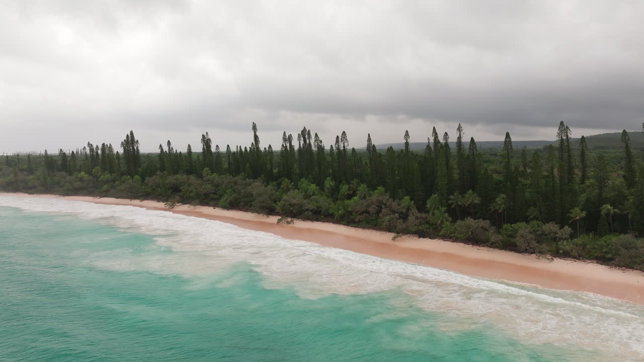 Drone aerial of columnar pines and dense coastal forest lining a turquoise lagoon shoreline in New Caledonia under soft daylight