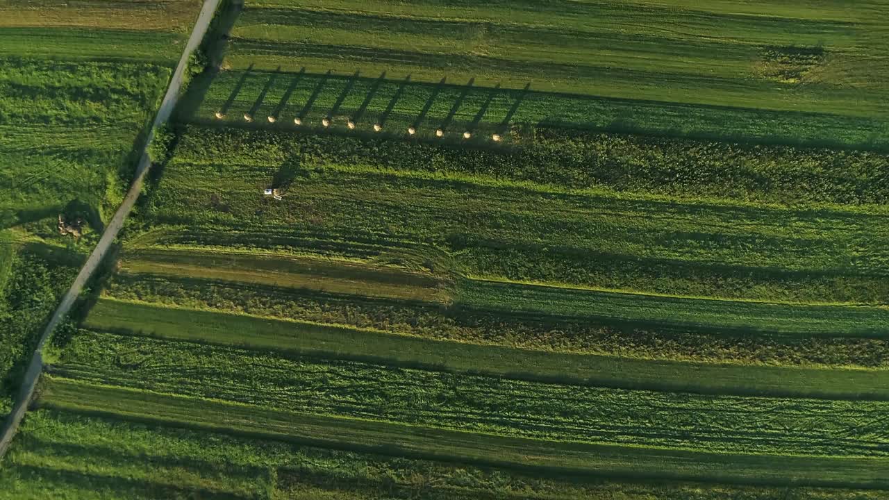 amplias tierras de cultivo verdes con carretera asfaltada bajo un cielo soleado durante el verano