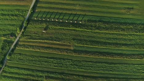 Weites-Grünes-Ackerland-Mit-Asphaltstraße-Unter-Sonnigem-Himmel-Im-Sommer