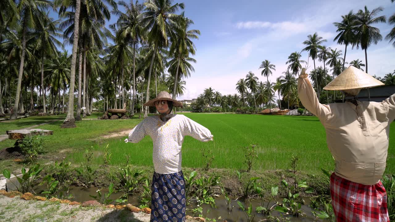 농장 에 있는 말레이인 들 의 공포기 의 장식