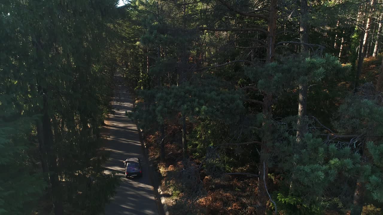 여름 산림, 야외 모험