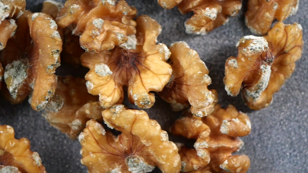 Rotten Walnuts Covered in White Mold