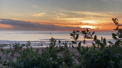 Cierre-De-Plantas-Verdes-Por-El-Océano-Al-Atardecer,-Fondo-Borroso-Con-Color-Naranja-Del-Cielo-Y-Olas-Perfectas